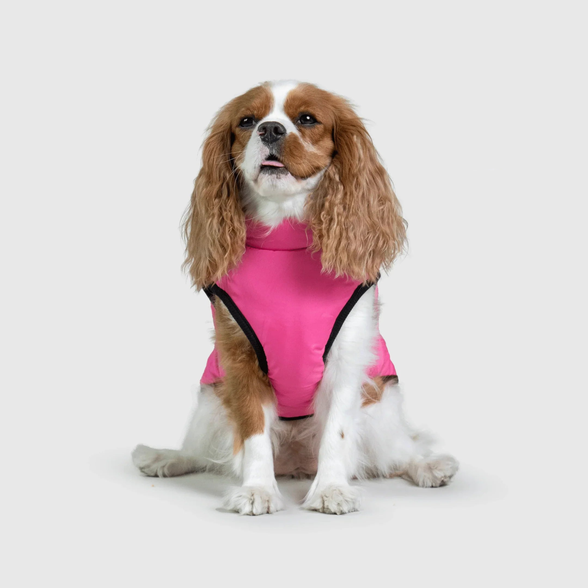 PawfectGuard™ 3-i-1 Hundejakke – Ultimat Beskyttelse, Stil & Komfort!