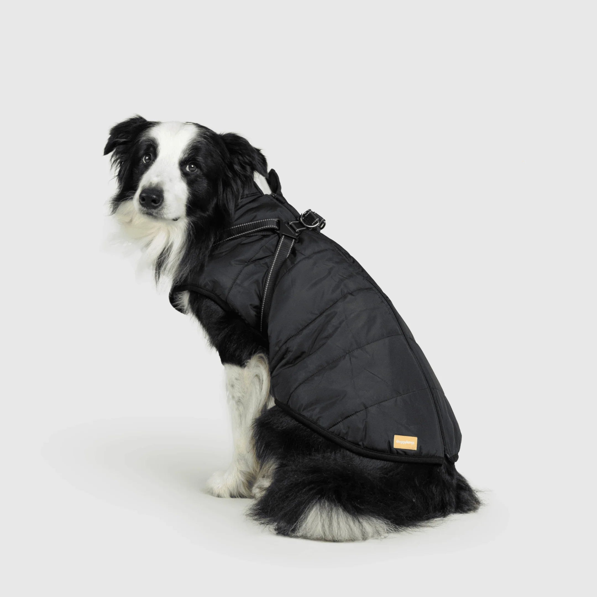PawfectGuard™ 3-i-1 Hundejakke – Ultimat Beskyttelse, Stil & Komfort!